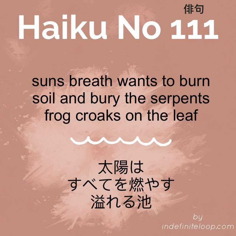 Haiku No. 111 - Disappearing Raindrop.