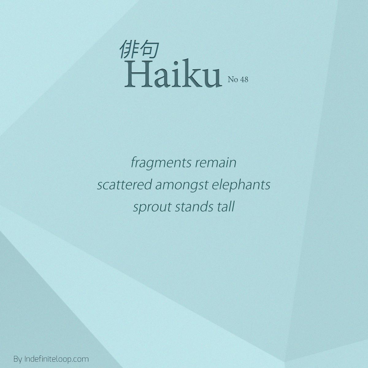 indefiniteloop.com -Haiku No. 47 - No Hibernation.