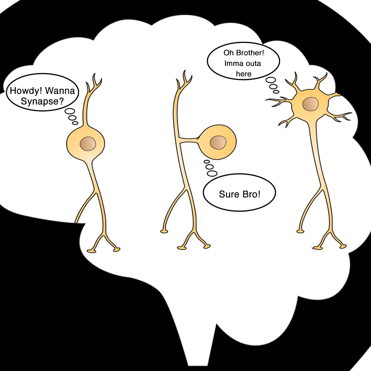 Random Communications by neurons