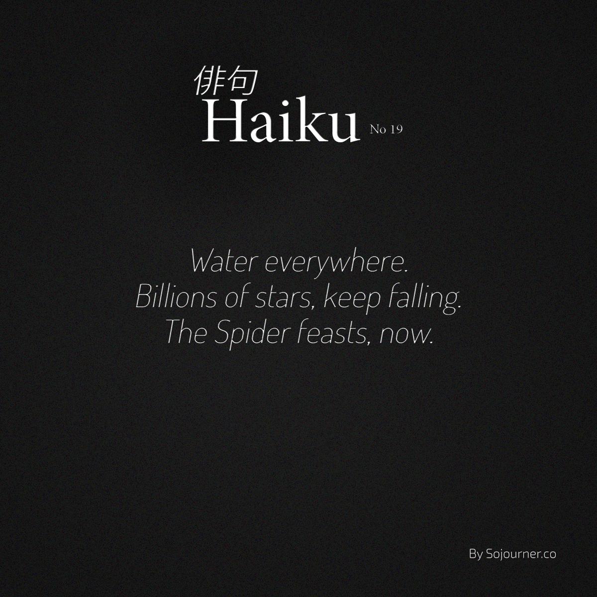 indefiniteloop.com - Haiku No. 19 - The Spider's Web.